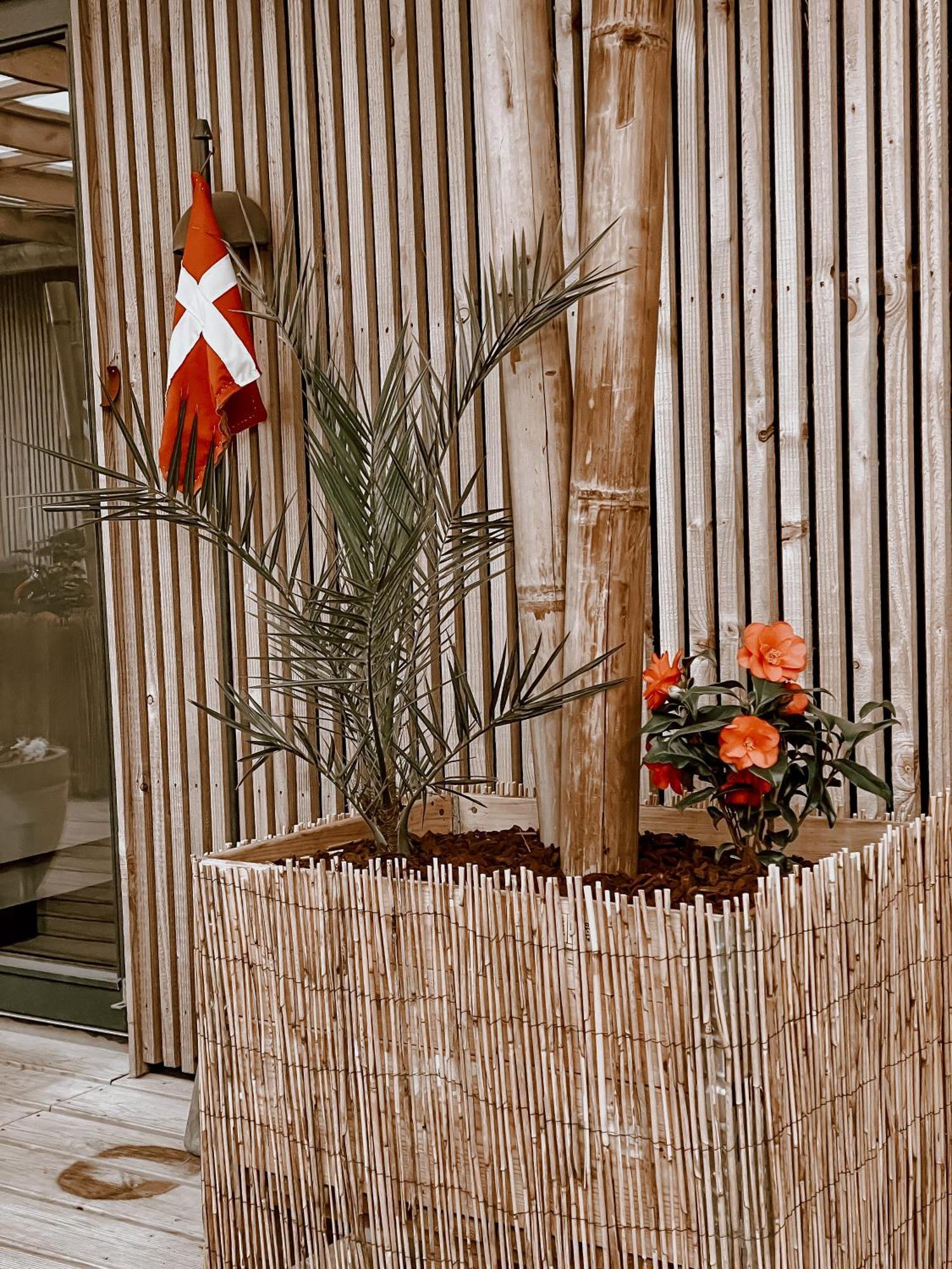 Guesthouse Klitmøller 외부 사진